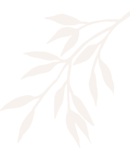 Centre de Beauté - Institut de beauté à Pau