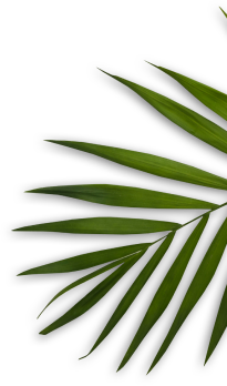 Centre de Beauté - Institut de beauté à Pau